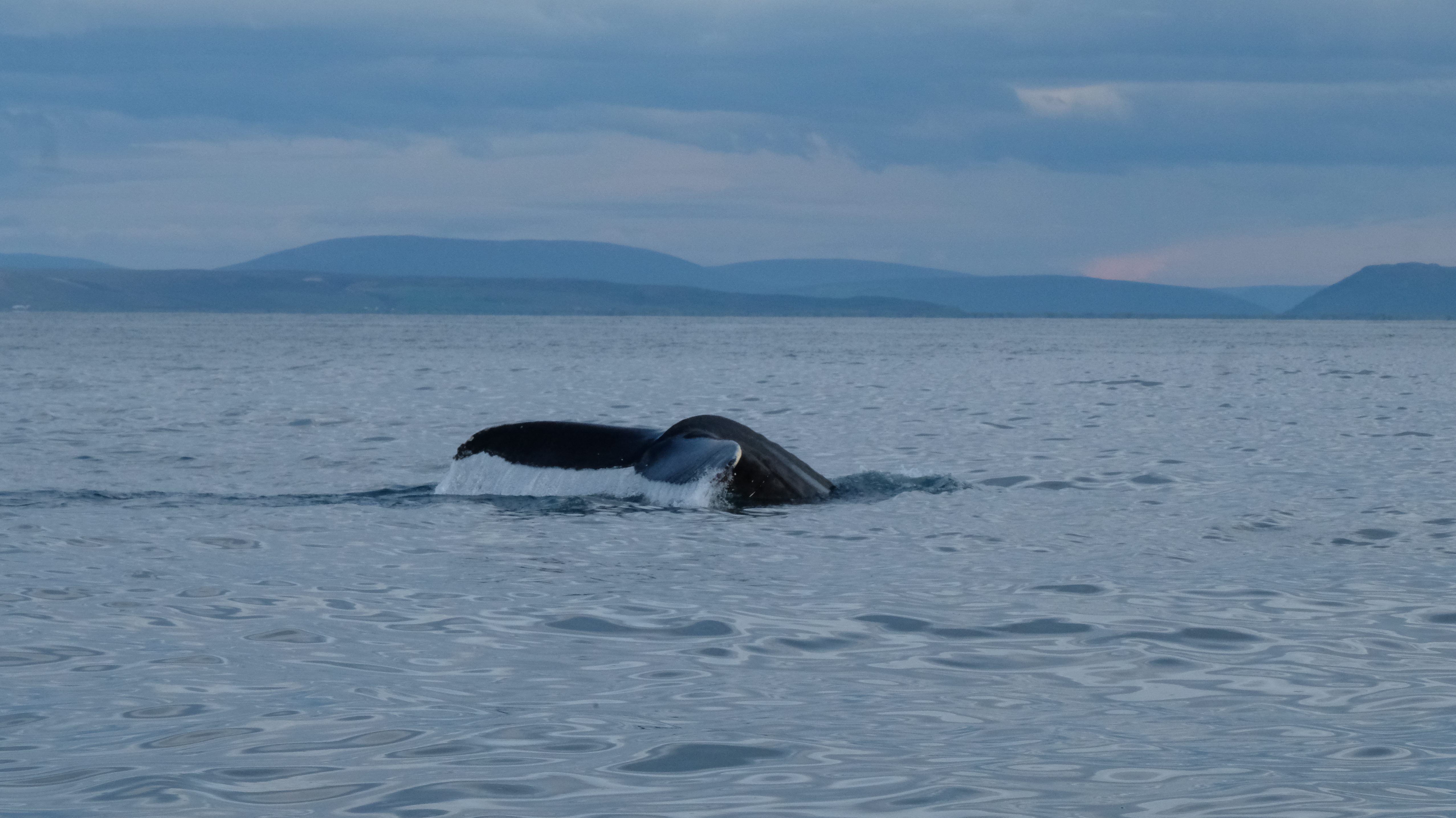 L’Islanda del nord: vulcani, balene e cascate tra Mývatn e Húsavík
