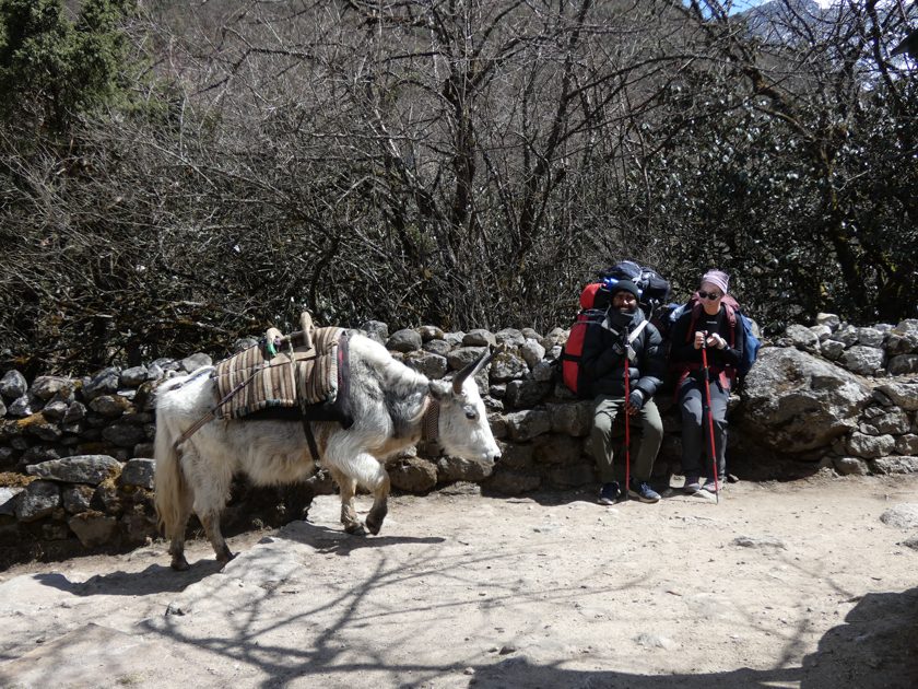 Un lungo ritorno – Namche Bazaar 3440m, Giorno 14